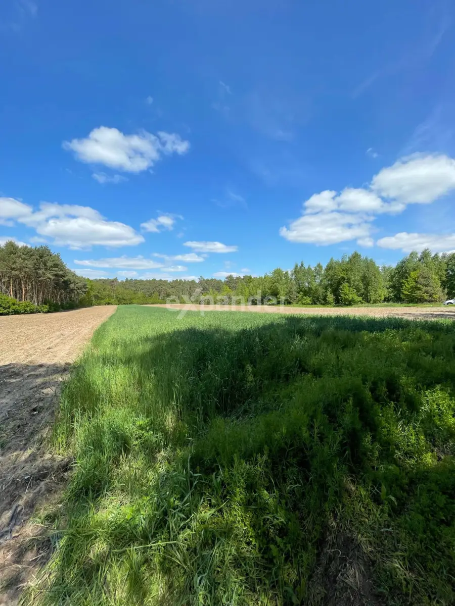 Działka rolna w Szałe k. Kalisza – cisza i natura.