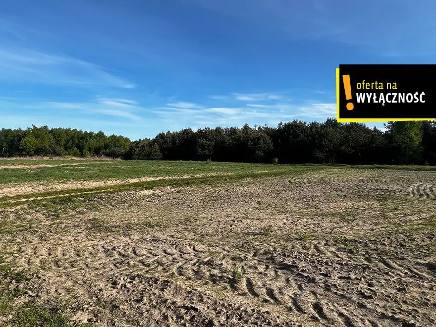 Działki rolne Deszno 1,67 HA