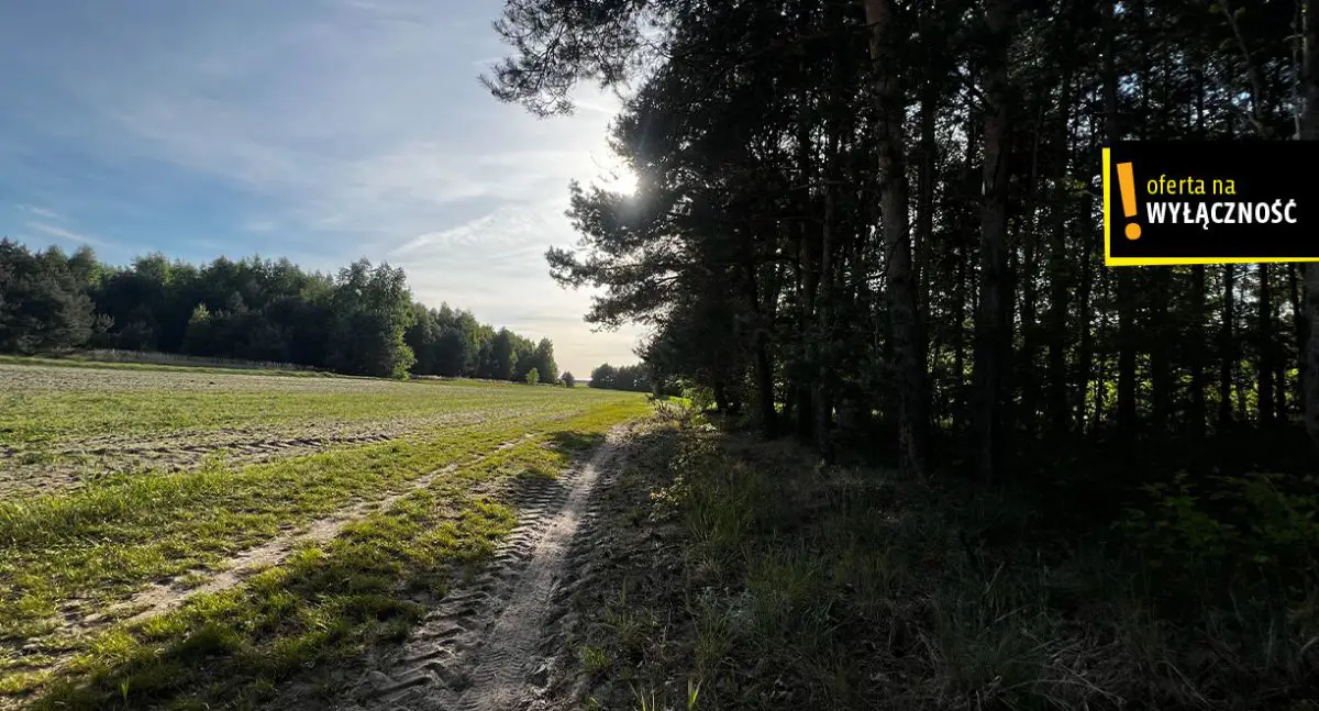 Działki rolne Deszno 1,67 HA