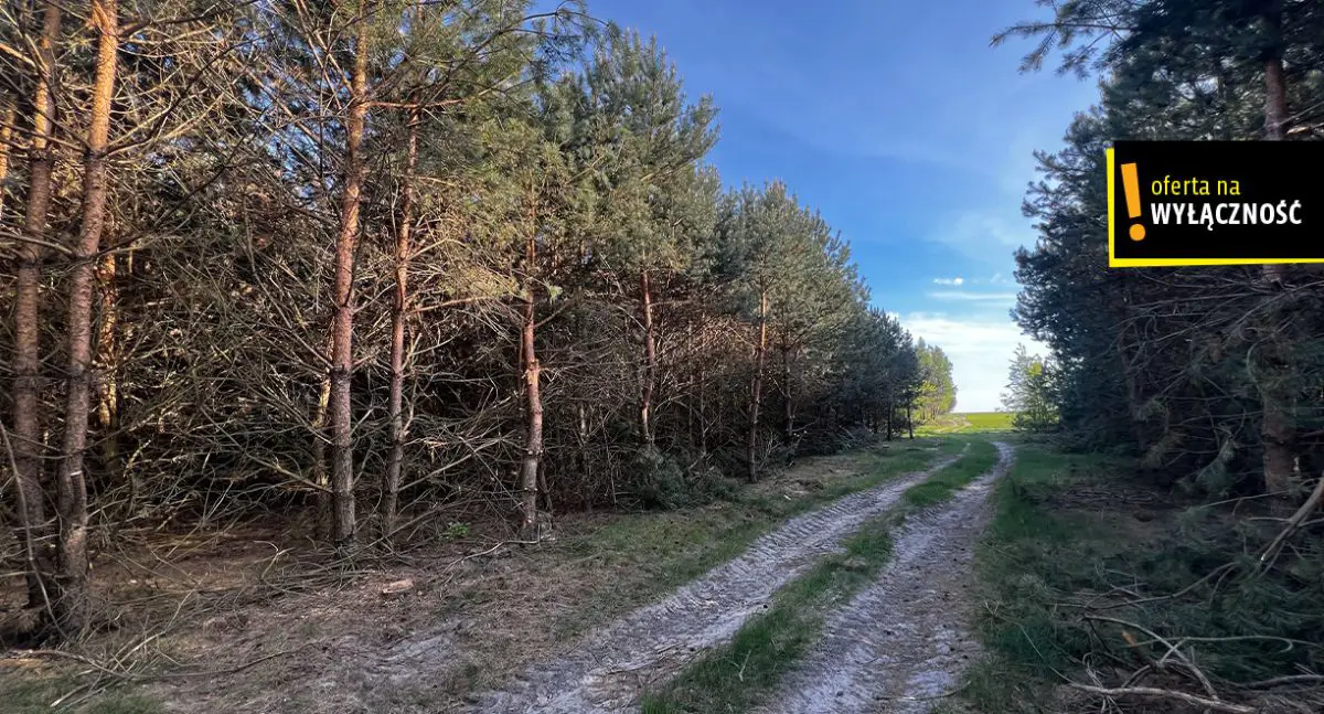 Działki rolne Deszno 1,67 HA