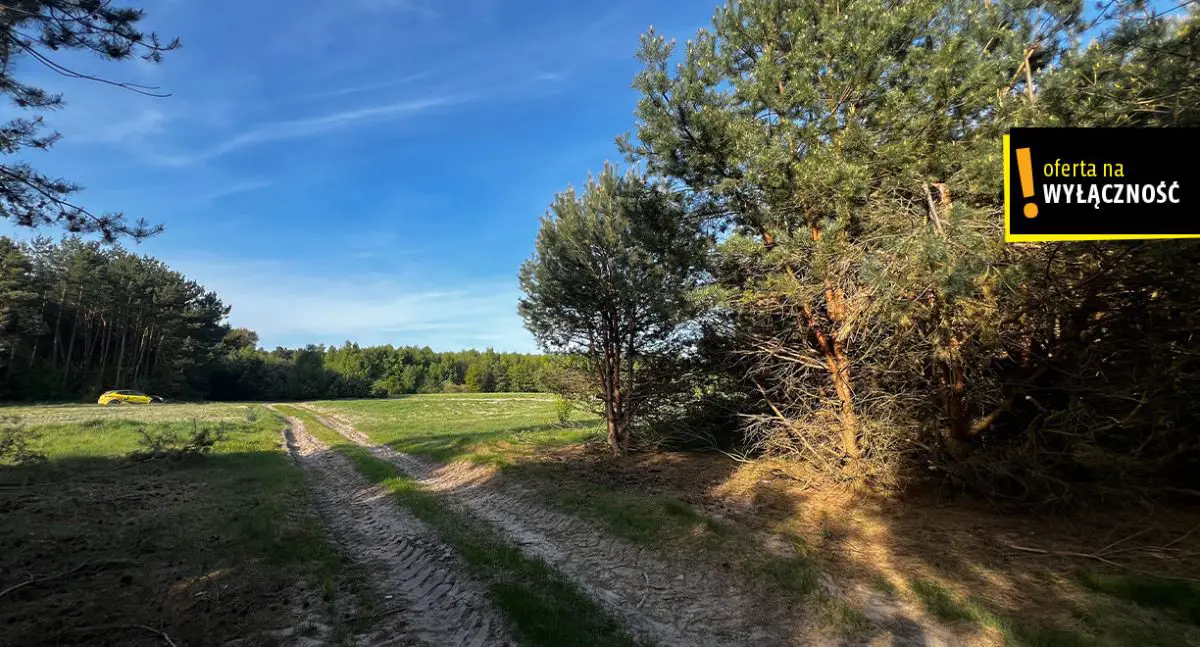 Działki rolne Deszno 1,67 HA