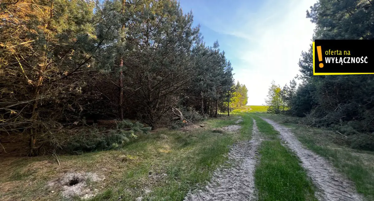 Działki rolne Deszno 1,67 HA