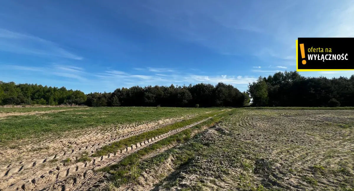 Działki rolne Deszno 1,67 HA