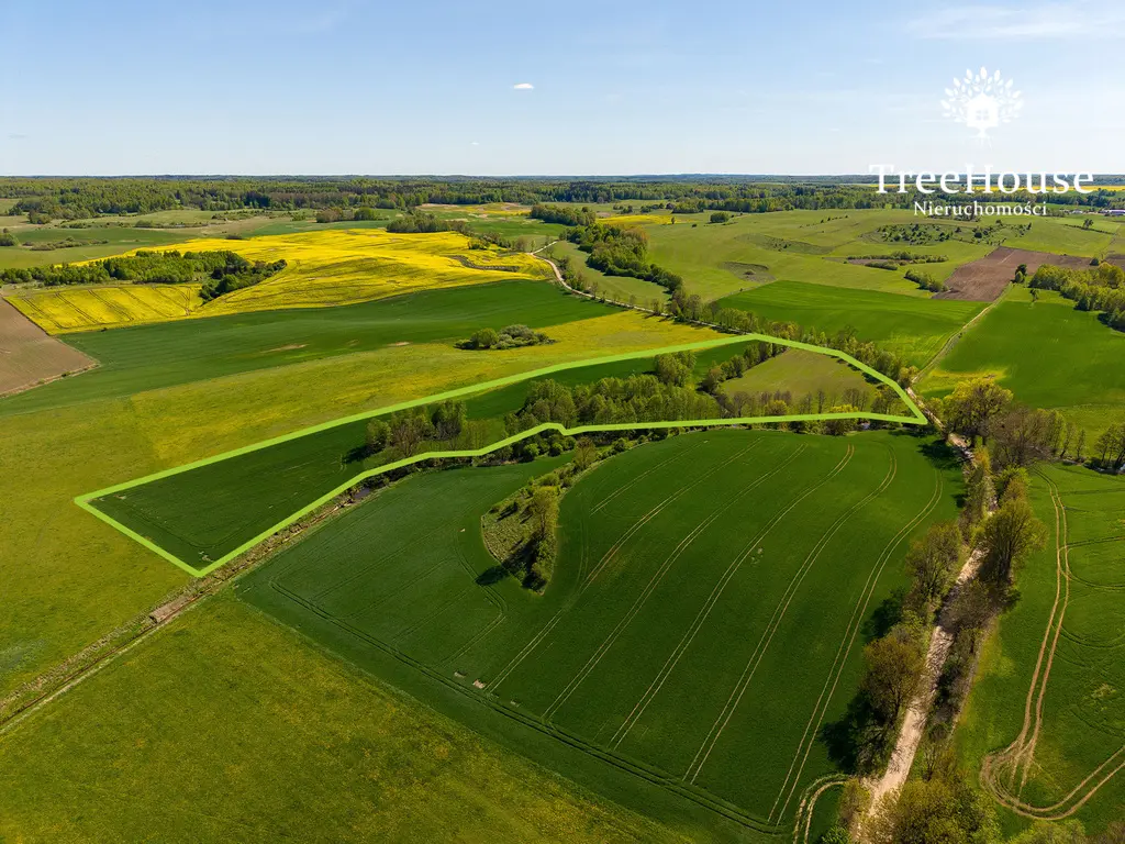 Działka rolna w Kabinach
