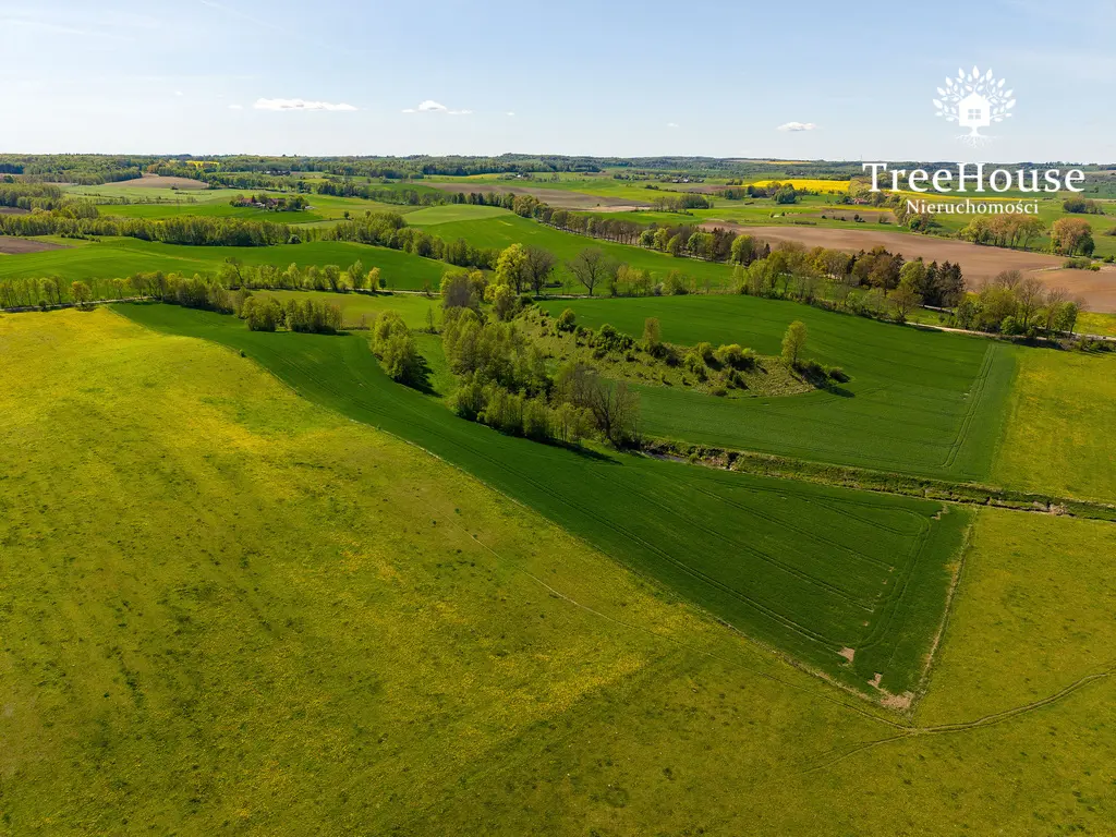 Działka rolna w Kabinach