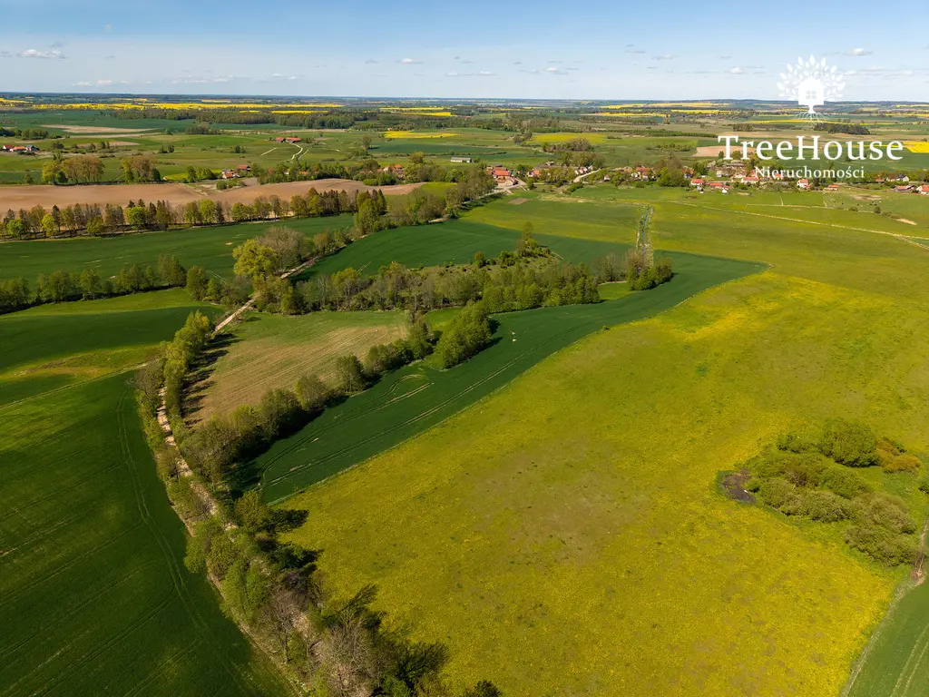 Działka rolna w Kabinach