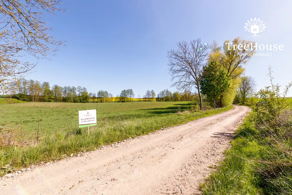 Działka rolna w Kabinach