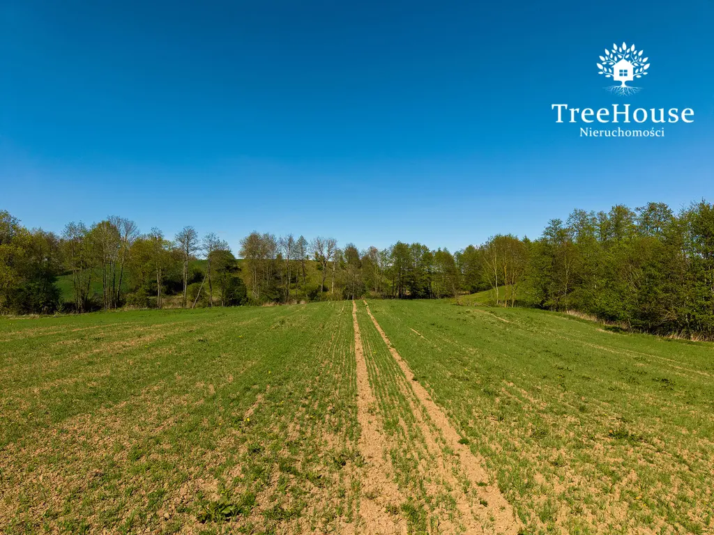 Działka rolna w Kabinach