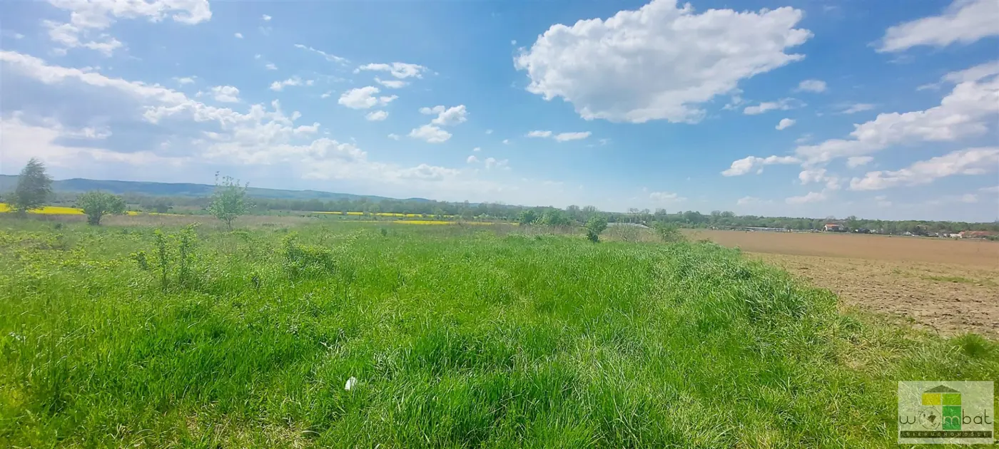 Działka inwestycyjna na obrzeżach miasta Świdnica