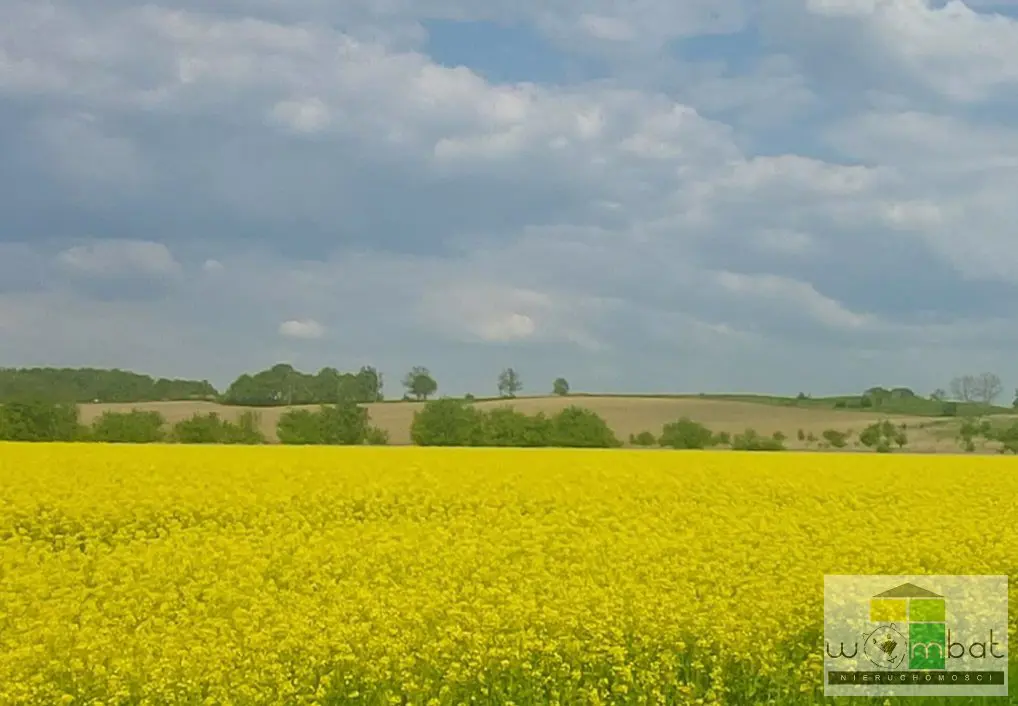 Działka inwestycyjna na obrzeżach miasta Świdnica