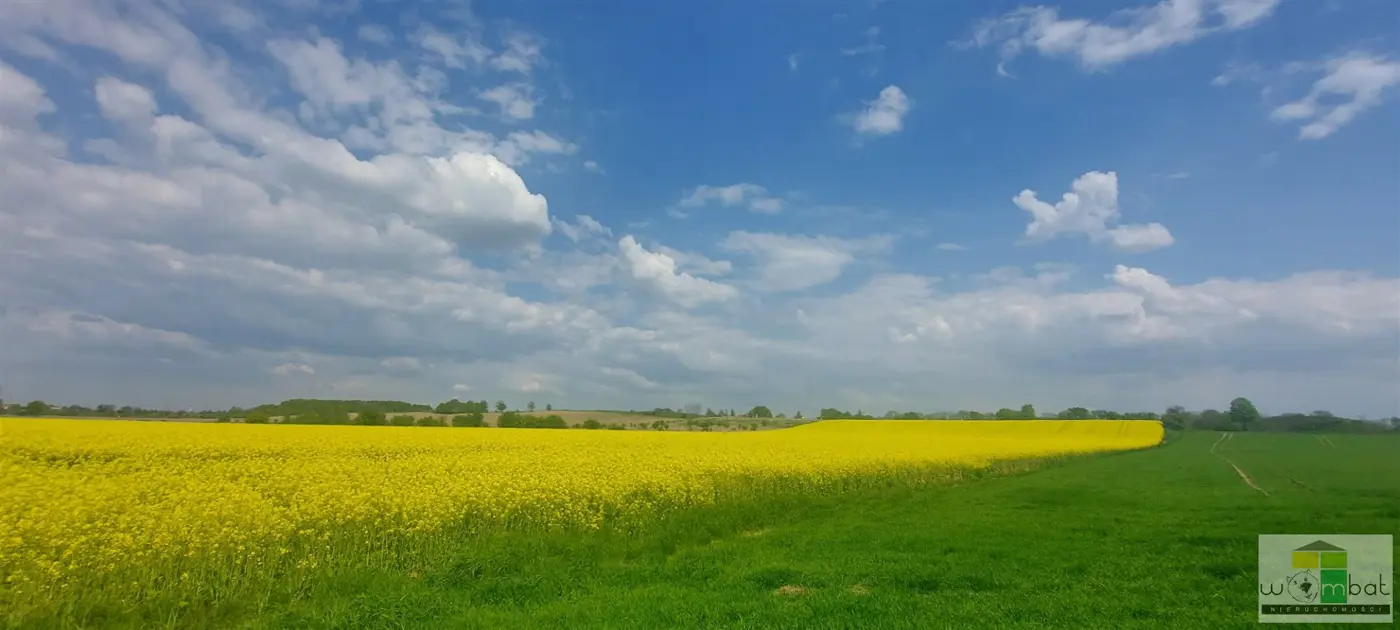 Działka inwestycyjna na obrzeżach miasta Świdnica
