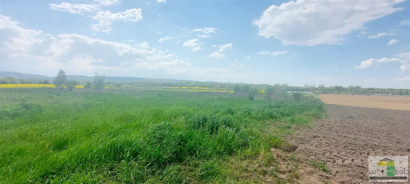 Działka inwestycyjna na obrzeżach miasta Świdnica