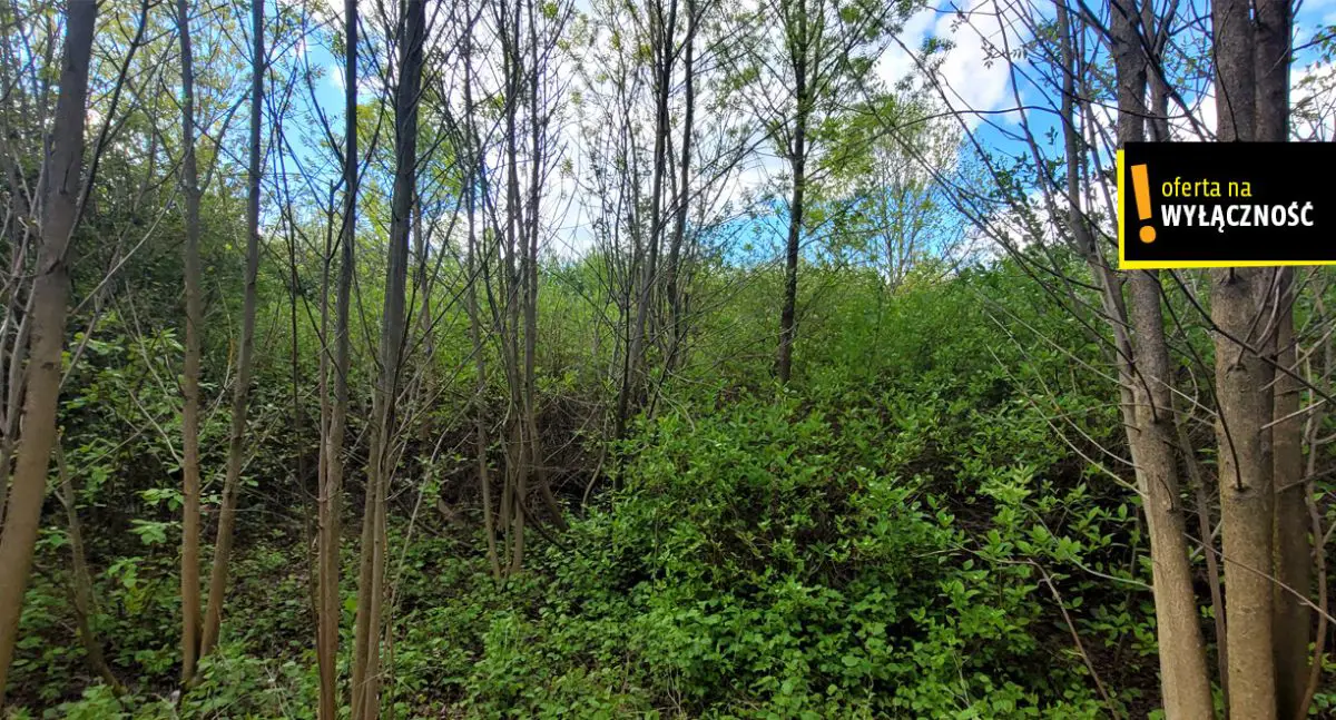 Działka budowlana w Chęcinach