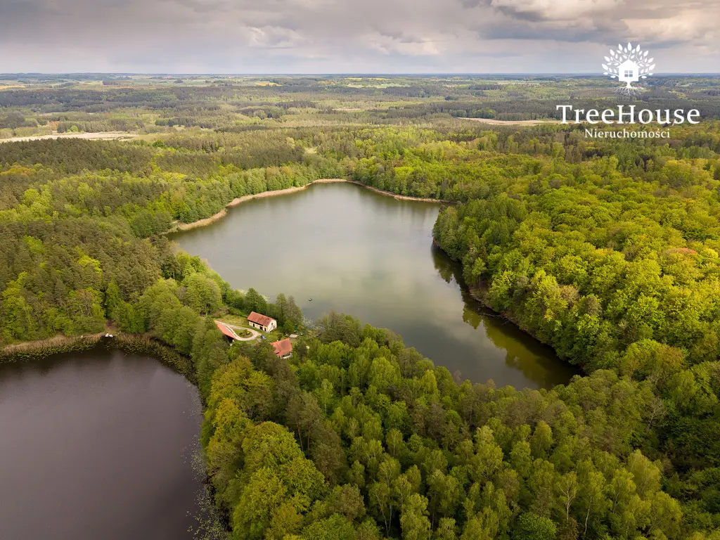 Działki w otulinie lasu nad jeziorem
