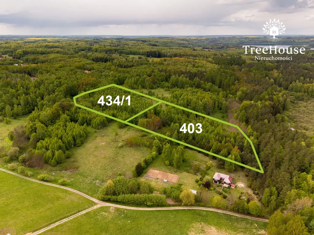 Działki w otulinie lasu nad jeziorem