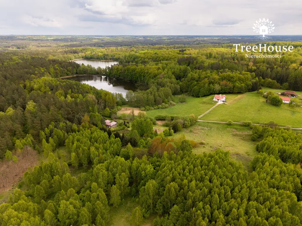 Działki w otulinie lasu nad jeziorem