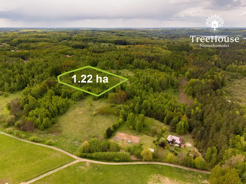 Działki w otulinie lasu nad jeziorem