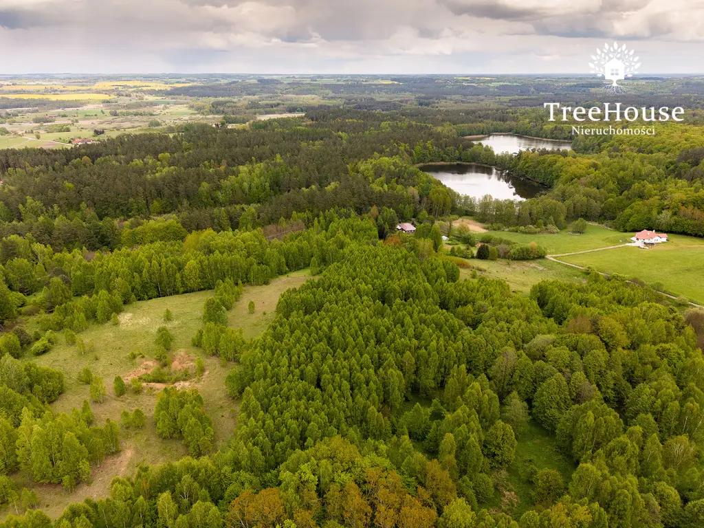 Działki w otulinie lasu nad jeziorem