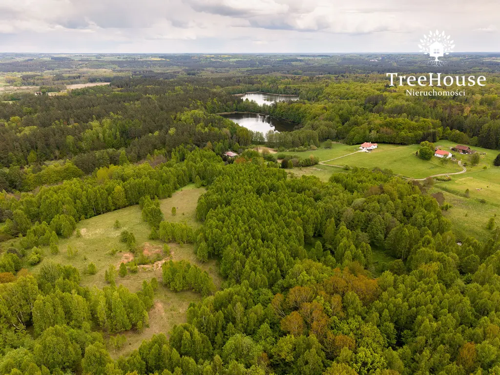 Działki w otulinie lasu nad jeziorem