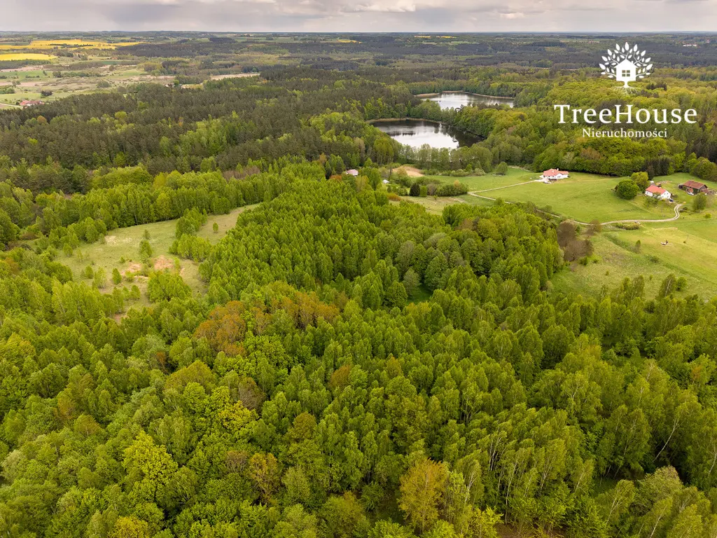 Działki w otulinie lasu nad jeziorem