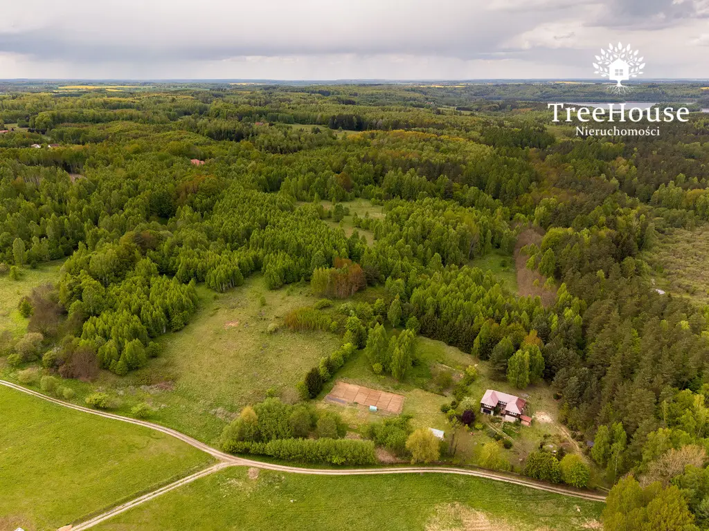 Działki w otulinie lasu nad jeziorem