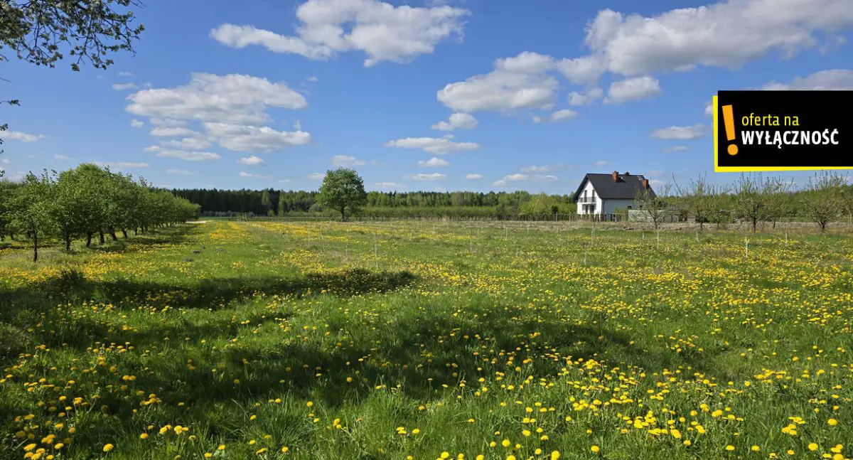 Siedlisko w Zofiówce gmina Gnojno
