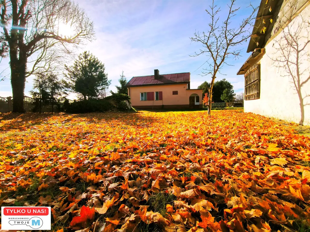 Dom z piękną działką 5 minut od Małogoszczy