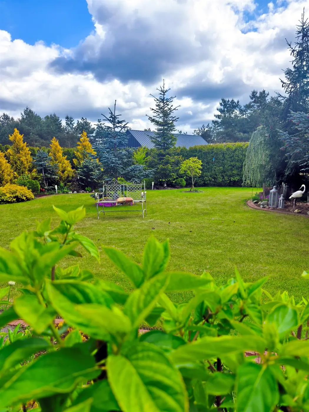 Rezydencja w otulinie lasu