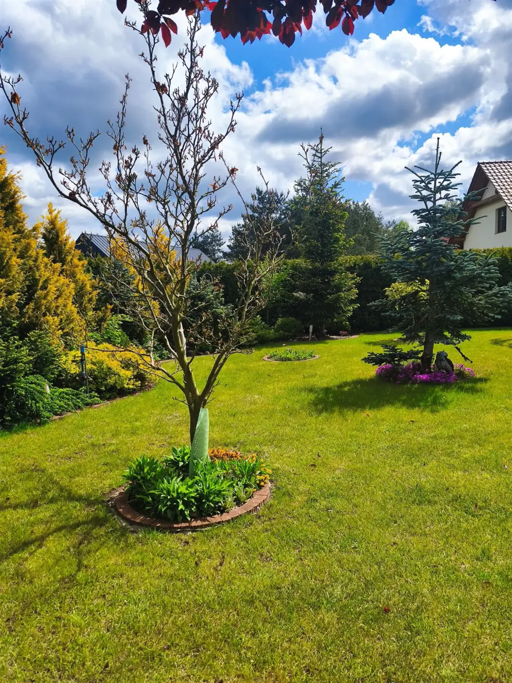 Rezydencja w otulinie lasu