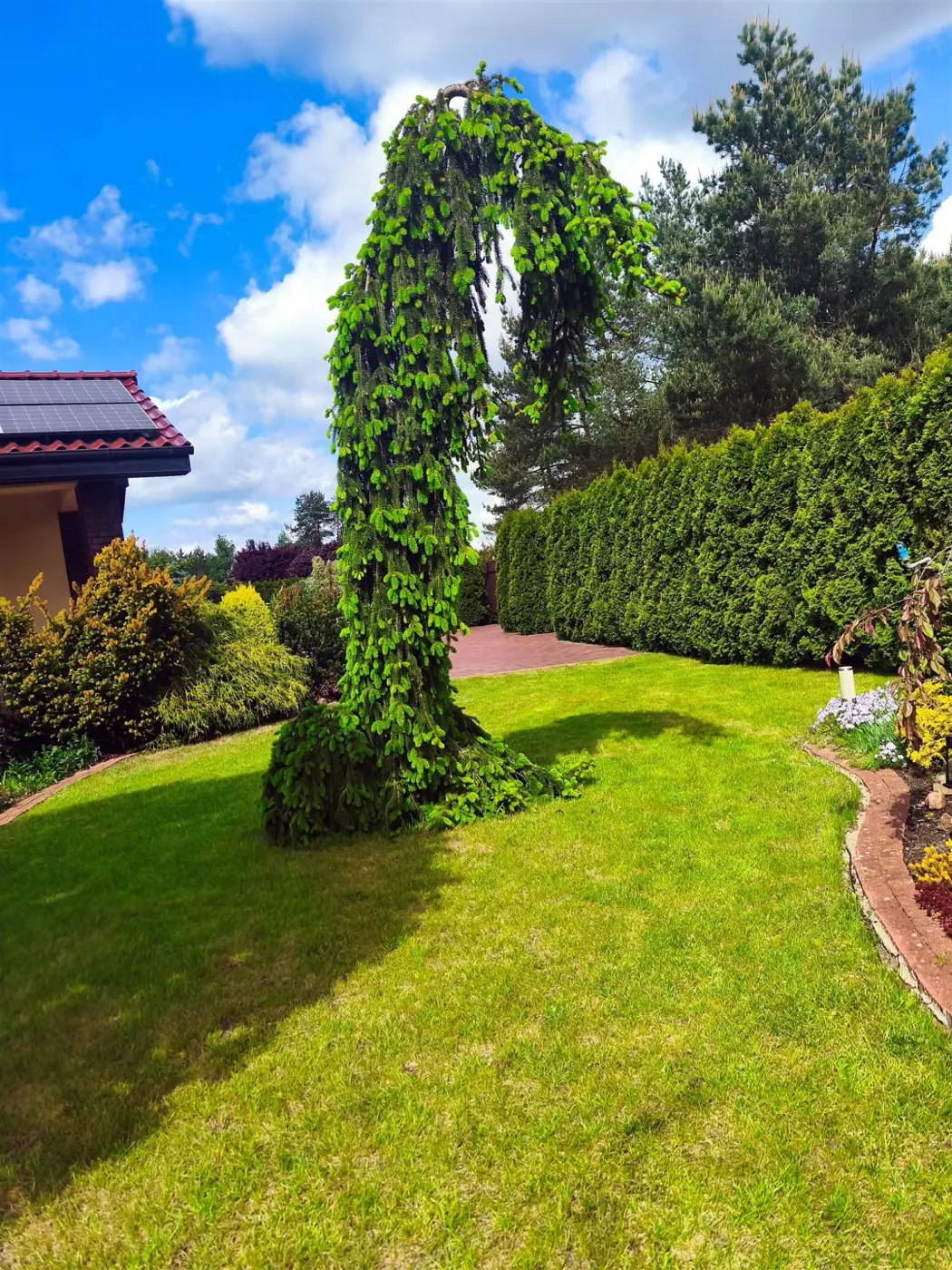 Rezydencja w otulinie lasu