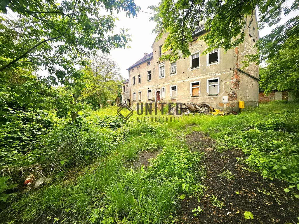 Okolice ul. Okulickiego / Inwestycja /Ogród