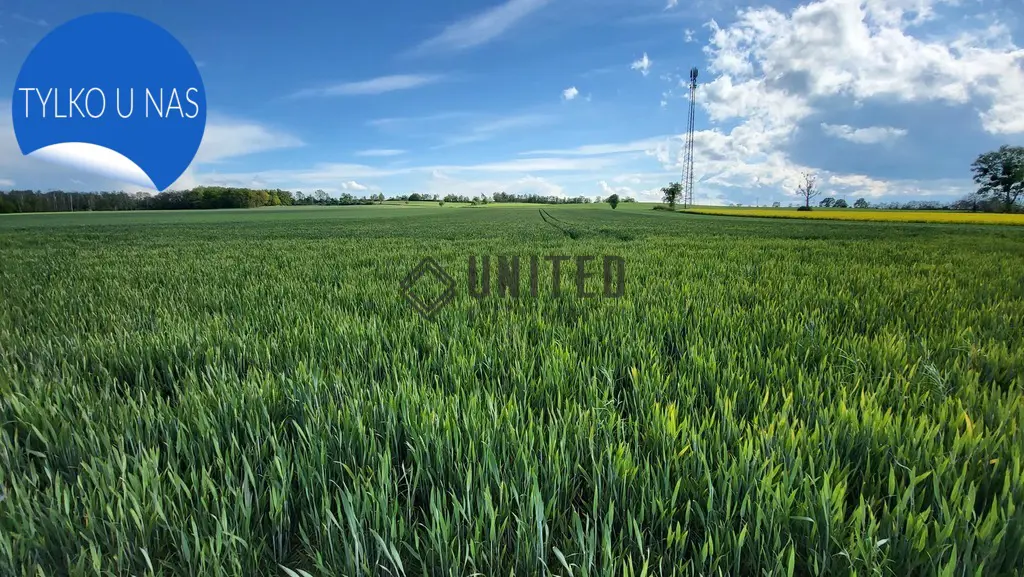 Działka okolice ul. Sadowej