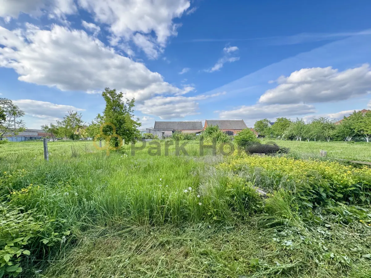 Dom z działką 1096 m2 strych do adaptacji