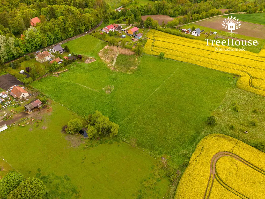 Działka rolno - budowlana w Głotowie z wydanym WZ