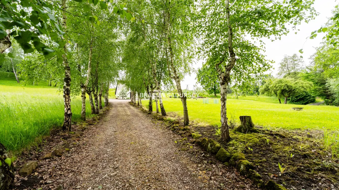 Gospodarstwo około 2 ha w Łazanach gm.Biskupice