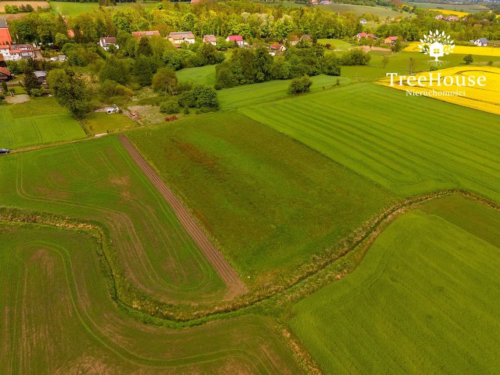 Działka rolna w Głotowie, gmina Dobre Miasto