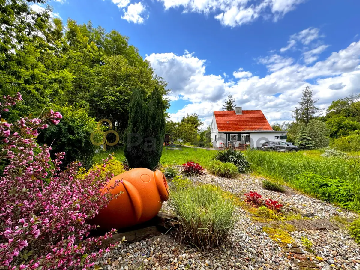 Azyl w Ostrowiecznie - Dom z dużą działką