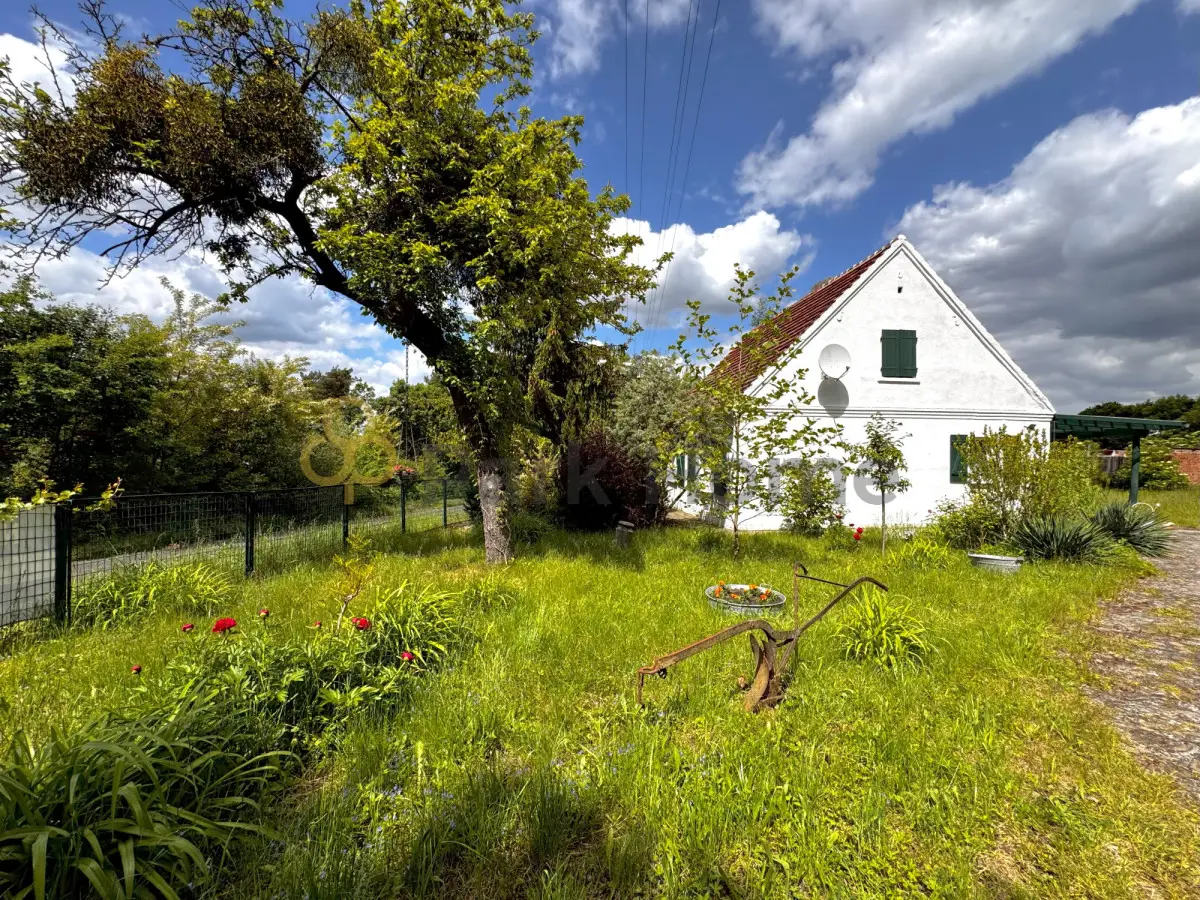 Azyl w Ostrowiecznie - Dom z dużą działką