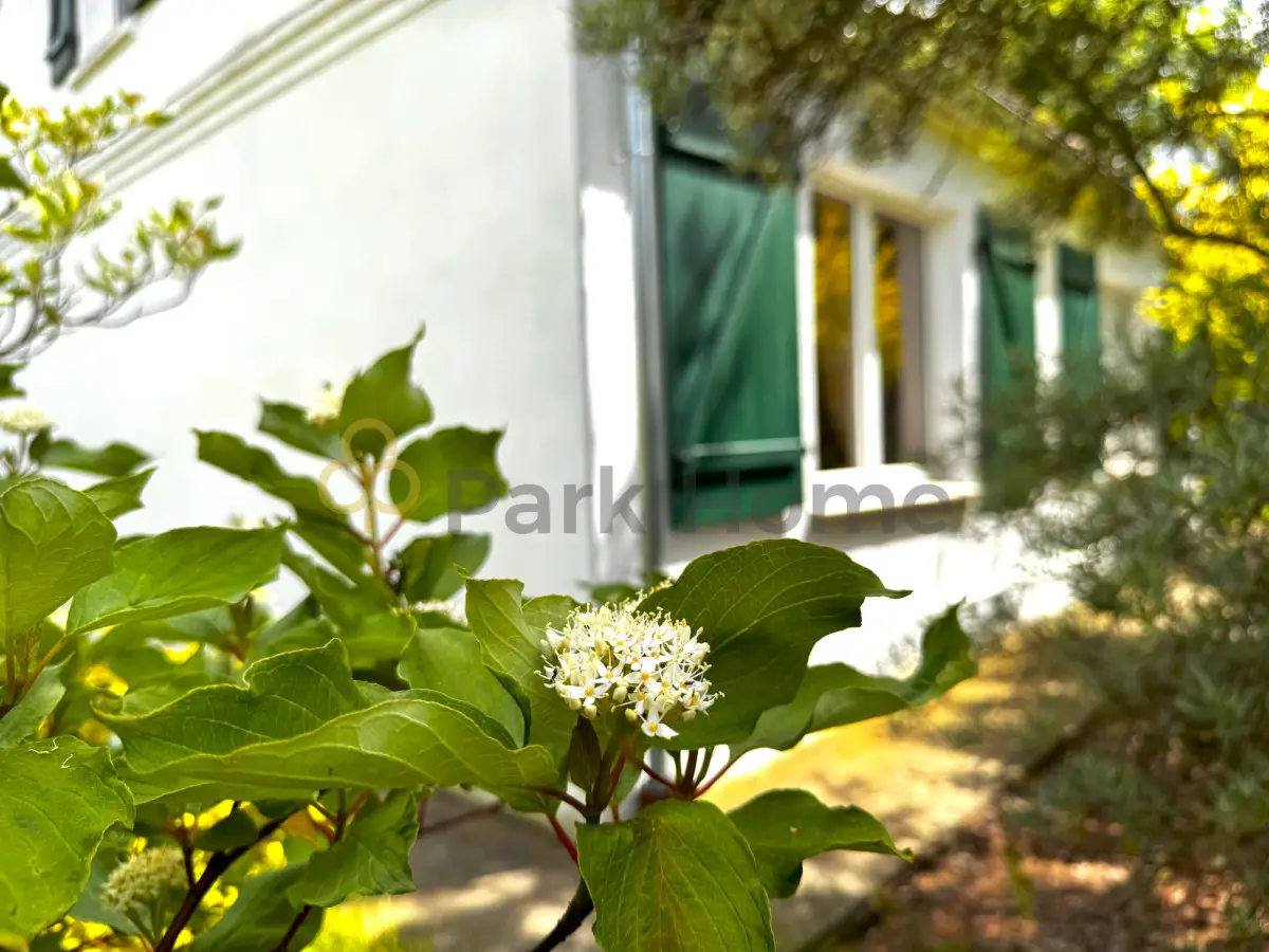 Azyl w Ostrowiecznie - Dom z dużą działką