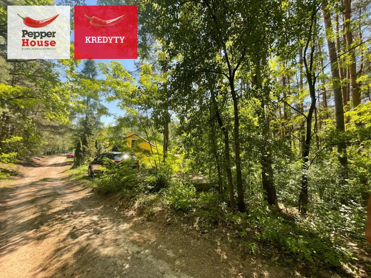 Całoroczny dom nad jeziorem