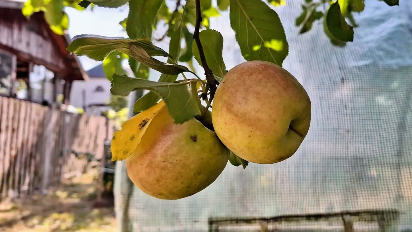 Na Sprzedaż nieduży Domek ( bliźniak )