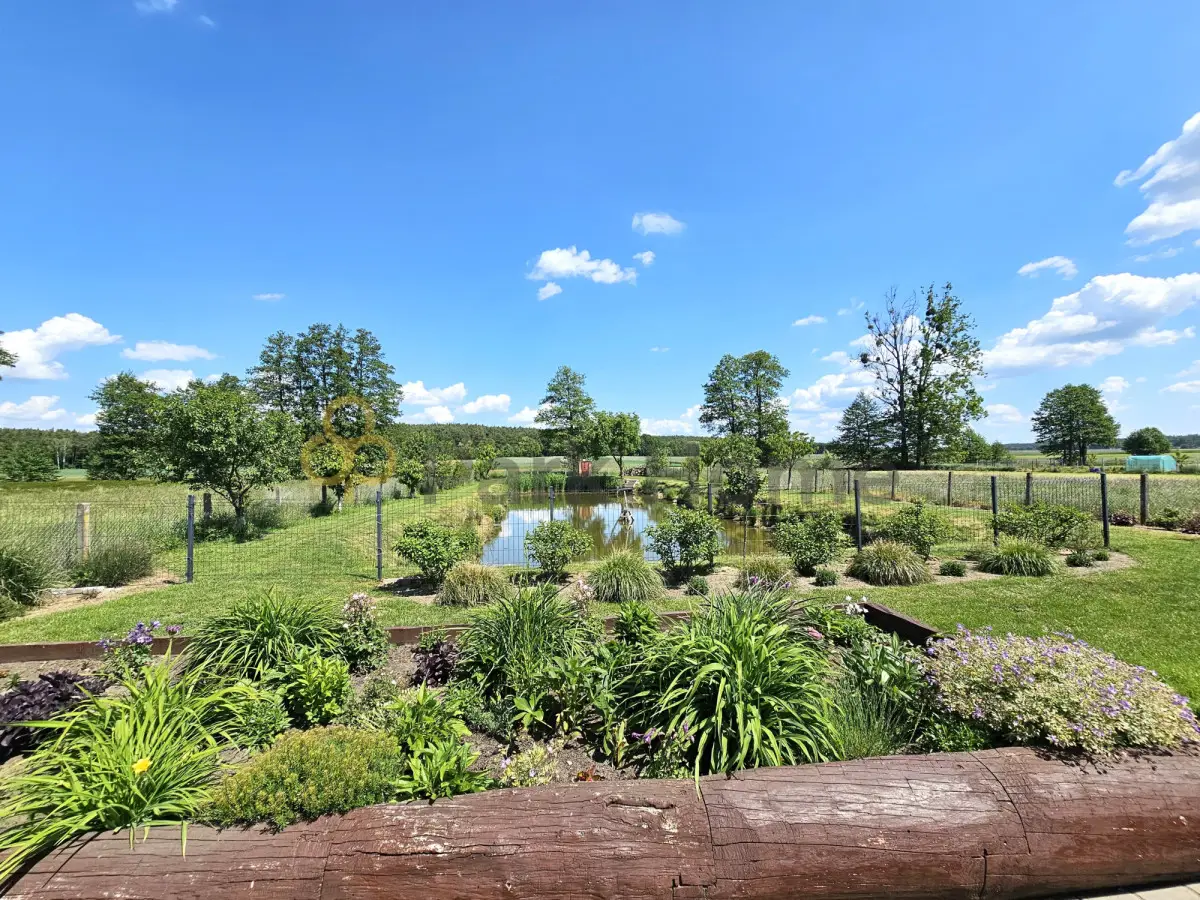 Super oferta - 2 domy i staw Błażejewo /Dolsk