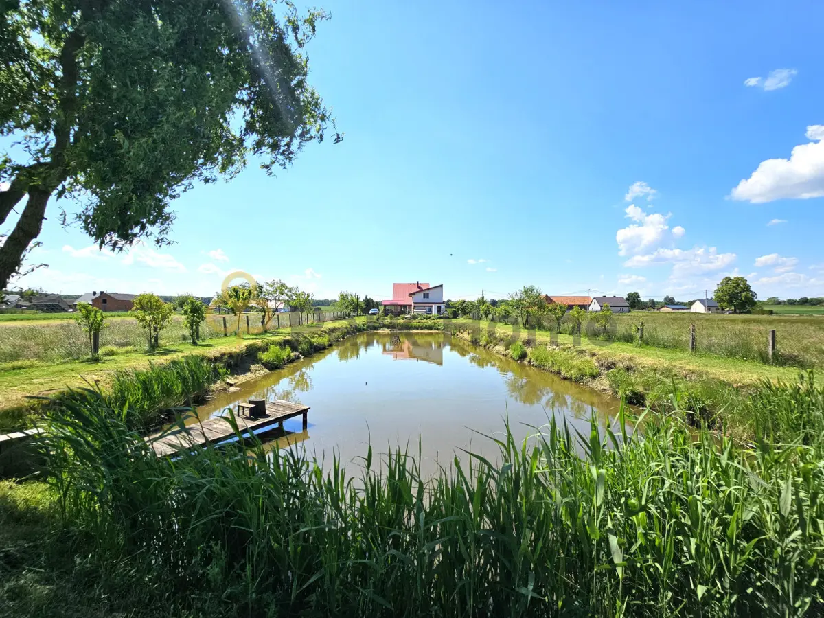 Super oferta - 2 domy i staw Błażejewo /Dolsk