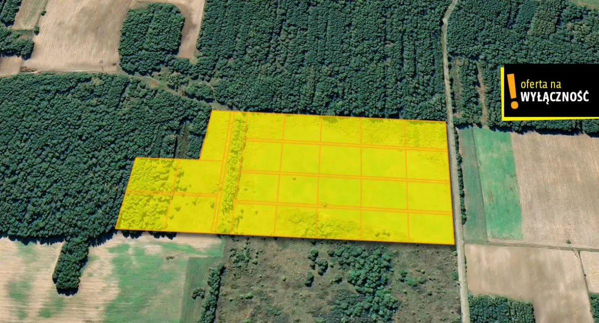 Ziemia inwestycyjna 11,2 ha – gmina Piekoszów