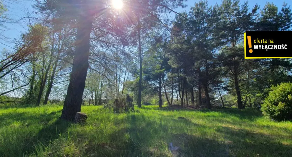 Działka budowlana z domkiem, rzeka, cisza, natura