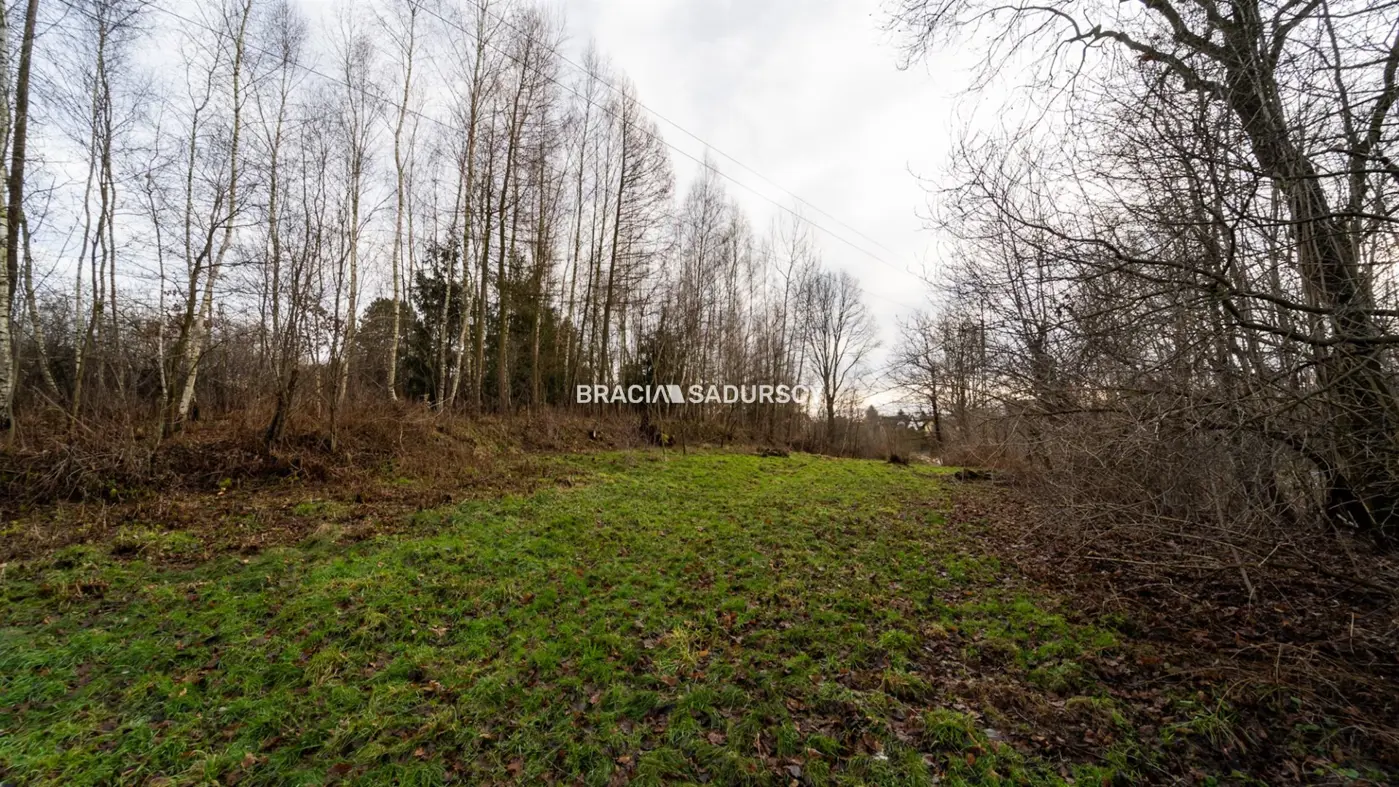 Działka w Skawinie, zieleń, lasy