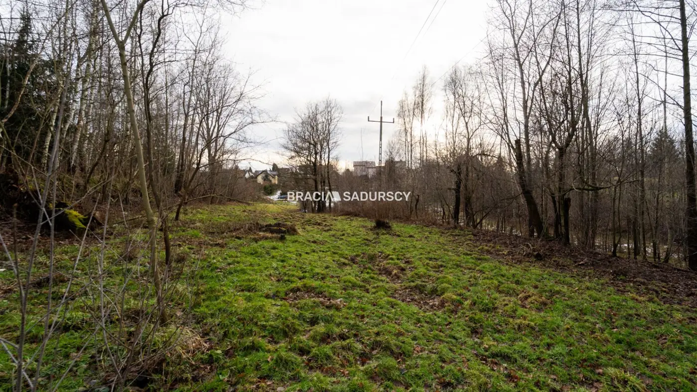 Działka w Skawinie, zieleń, lasy