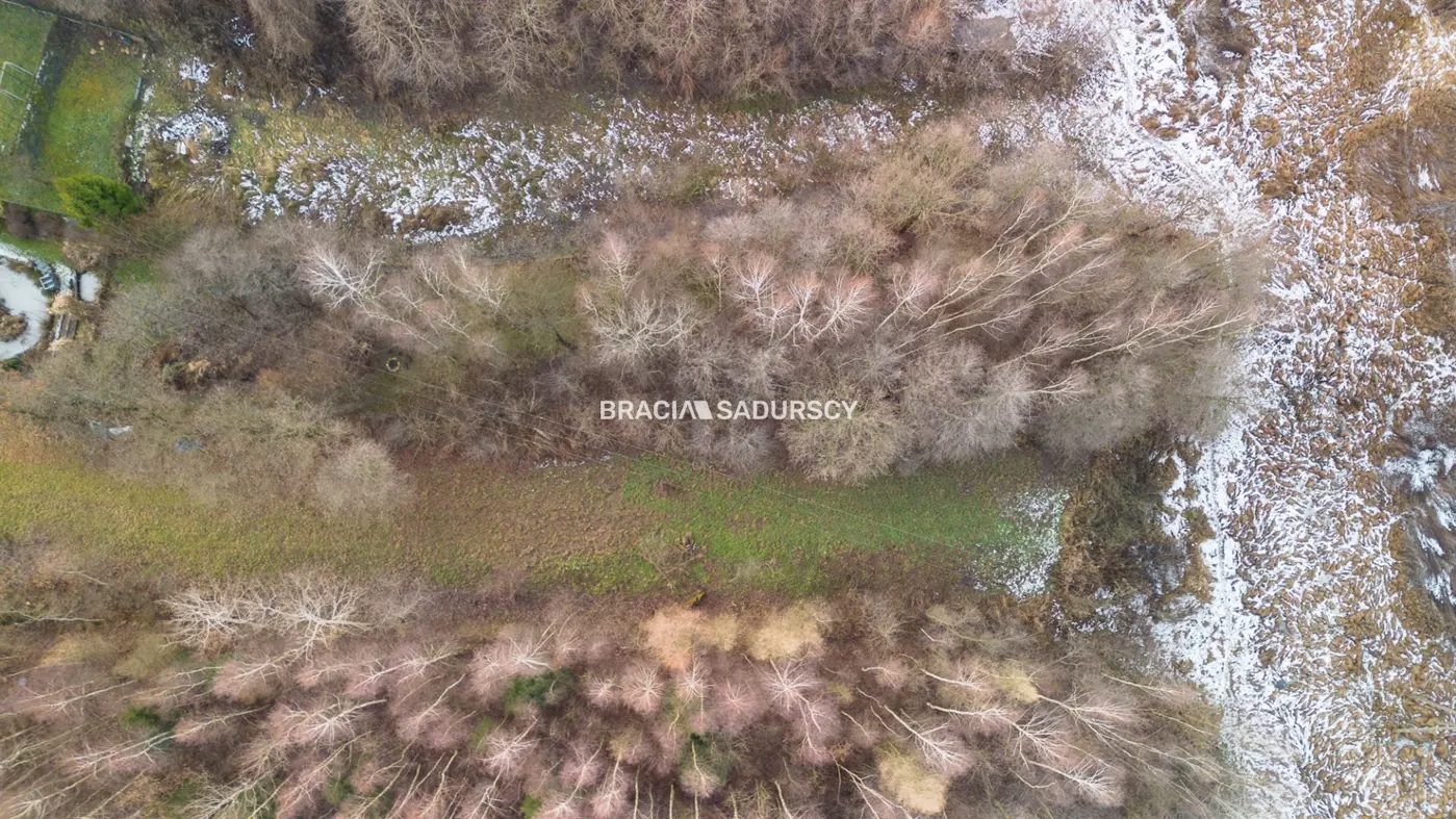 Działka w Skawinie, zieleń, lasy