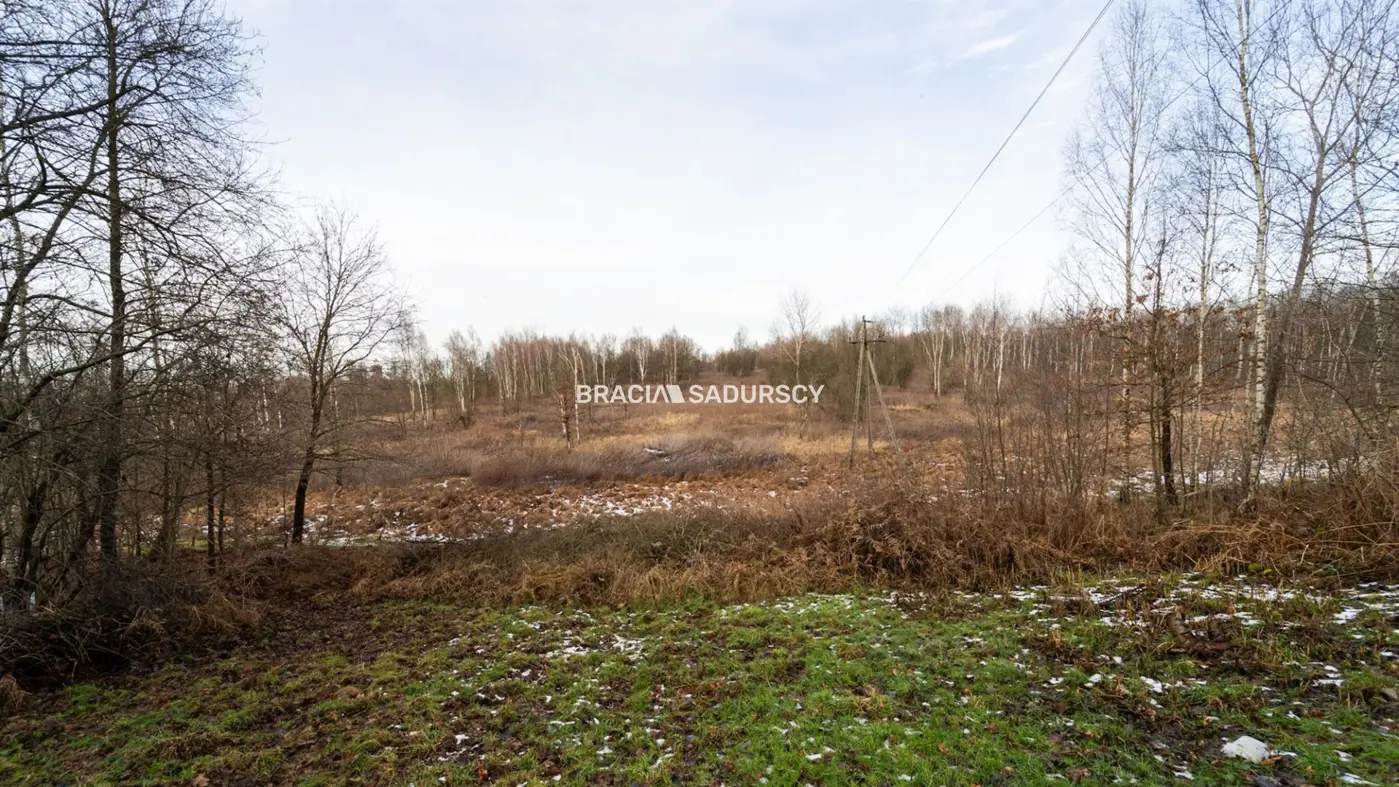 Działka w Skawinie, zieleń, lasy