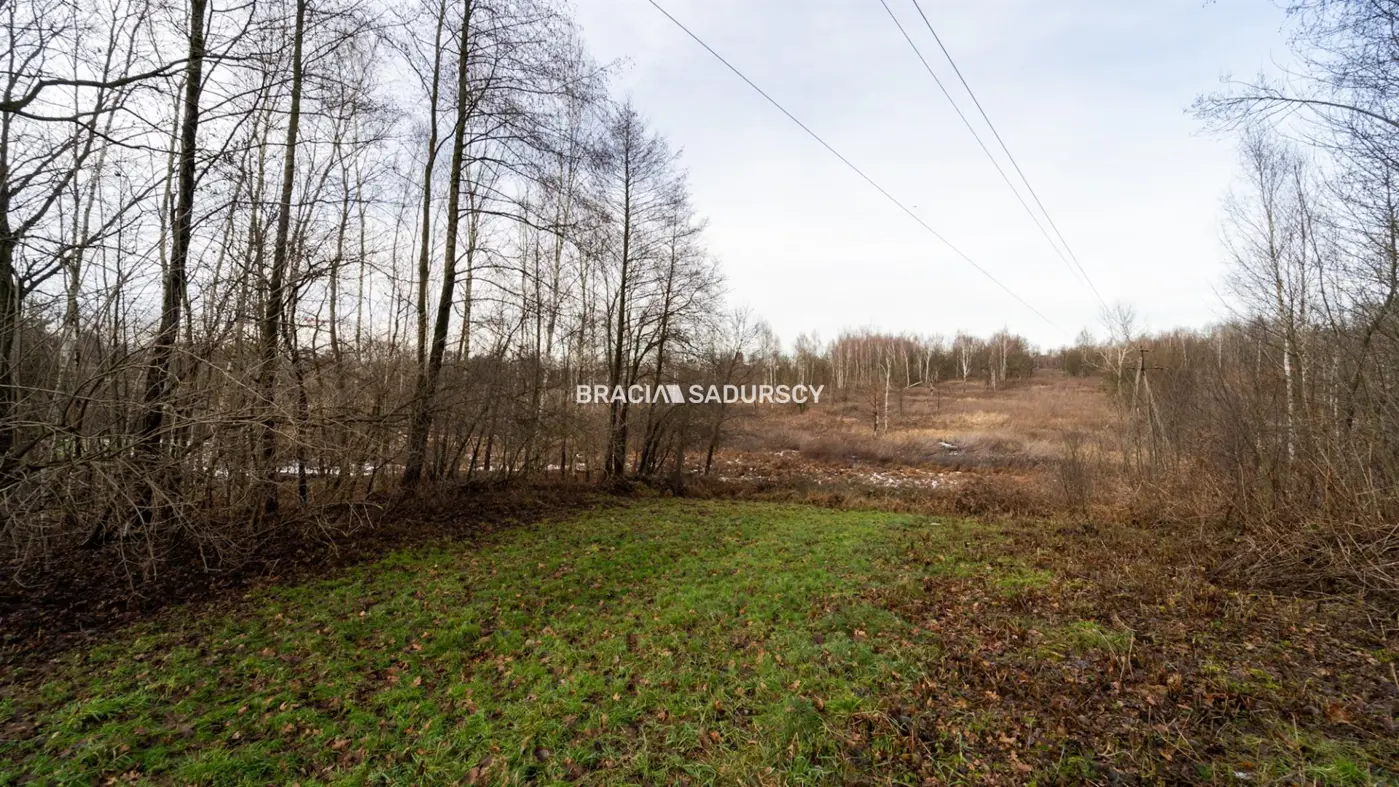 Działka w Skawinie, zieleń, lasy